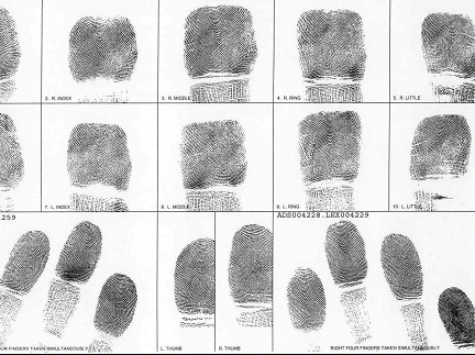 fingerprint